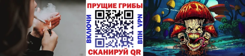 Галлюциногенные грибы ЛСД Закаменск