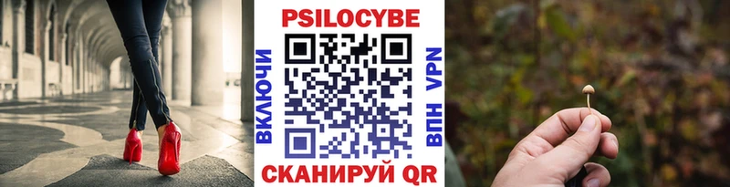 как найти   Закаменск  Псилоцибиновые грибы прущие грибы 